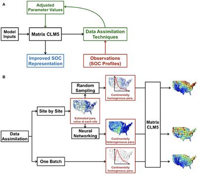 Deep Learning Optimizes Data-Driven Representation of Soil Organic Carbon in Earth System Model Over the Conterminous United States